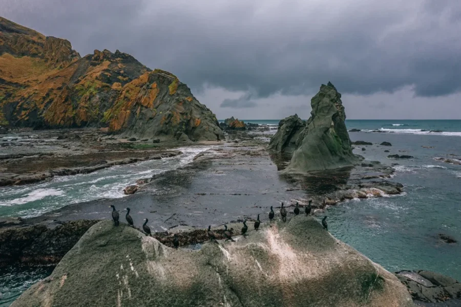 科曼多爾群島（指揮官群島）11日遊